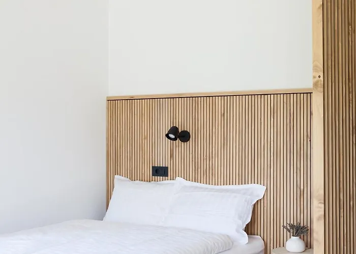 Mlino Alpino Apartament Bled